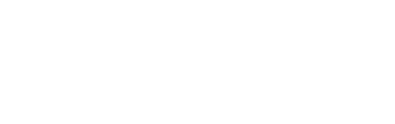 Wild Rising Skincare.Plant-Powdered Natural, Organic and Vegan Skin Care made in Torquay Devon