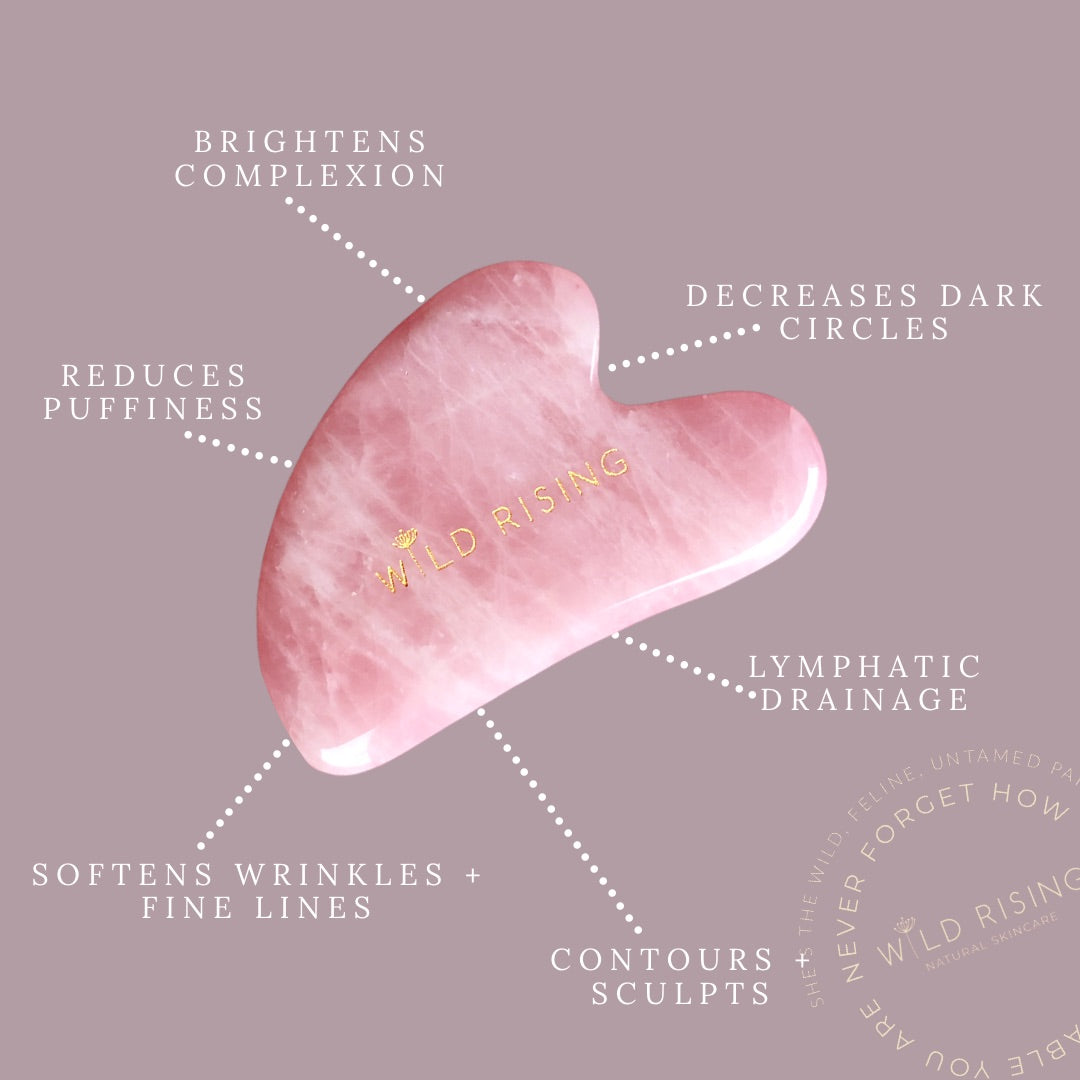 wild rising gua sha info picture
