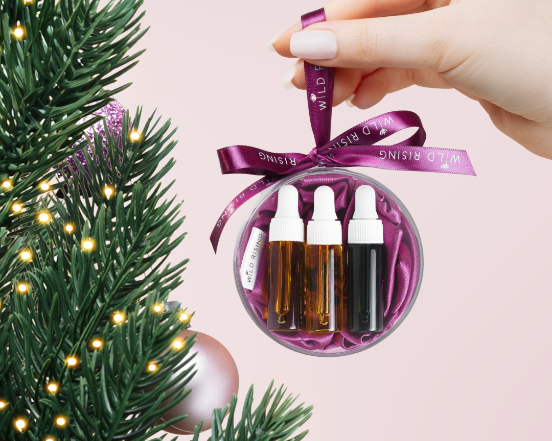 Christmas beauty Bauble being held next to a christmas tree
