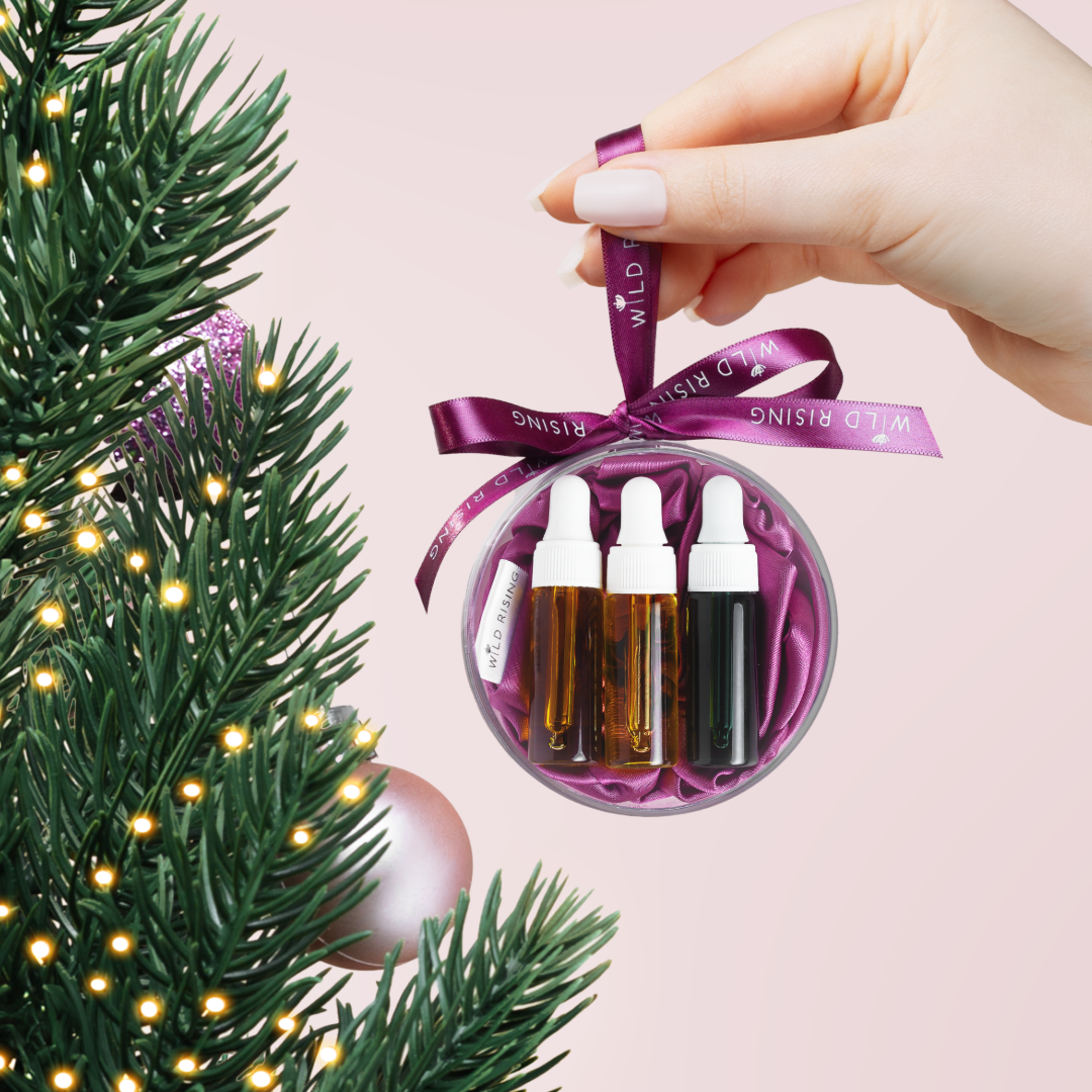 Christmas beauty Bauble being held next to a christmas tree