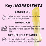 graphic showing a breakdown of the key ingredients in a lip oil
